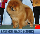Eastern Magic Chow-Chows