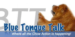 Blue Tongue Talk