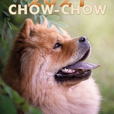 Chow-Chow Calendar 2021