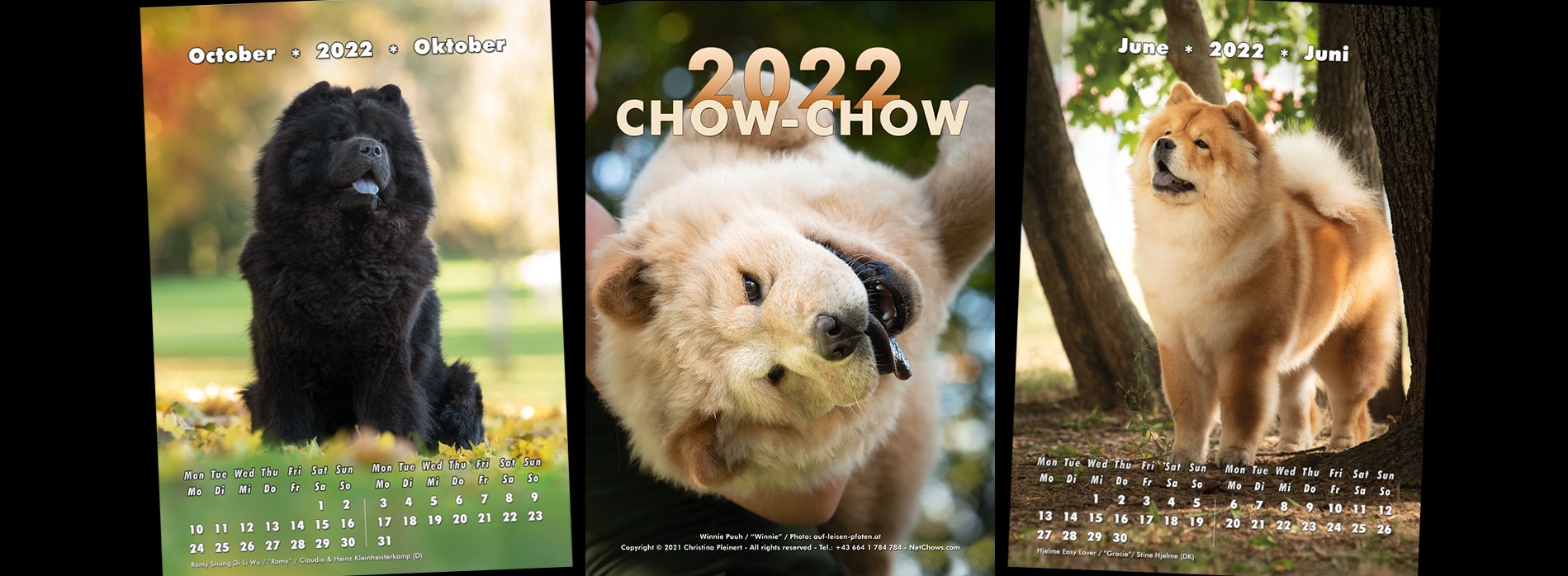 NetChows is proud to present the Chow-Chow Calendar 2022