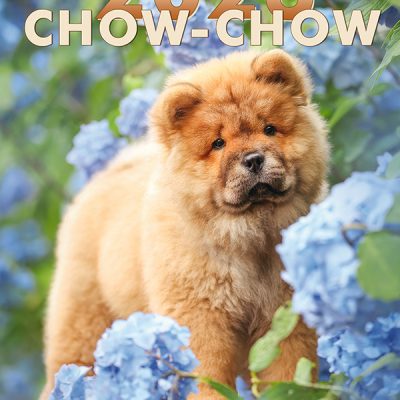 Chow-Chow Calendar 2026