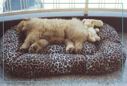 Napping